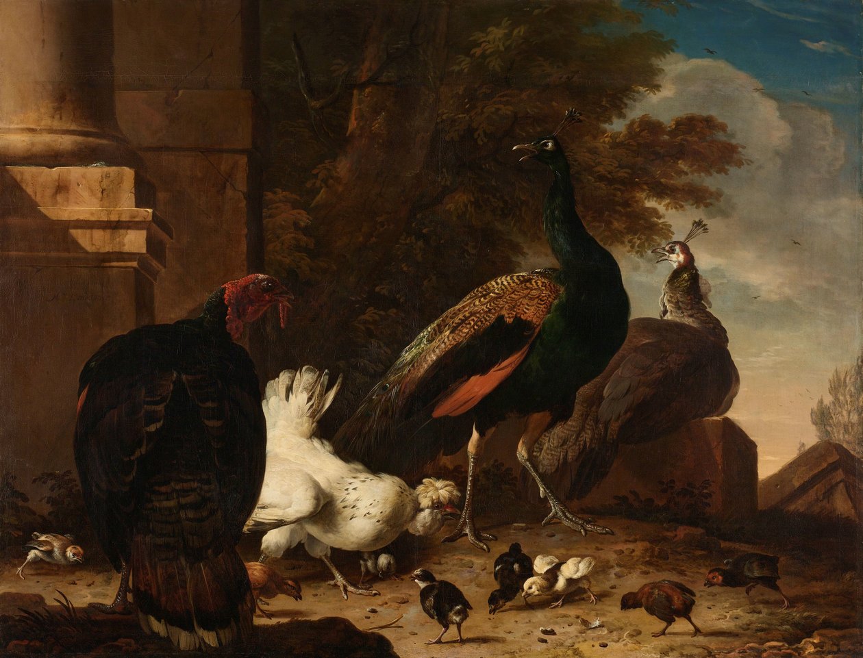 孔雀と七面鳥の雌鶏 作： Melchiord'Hondecoeter