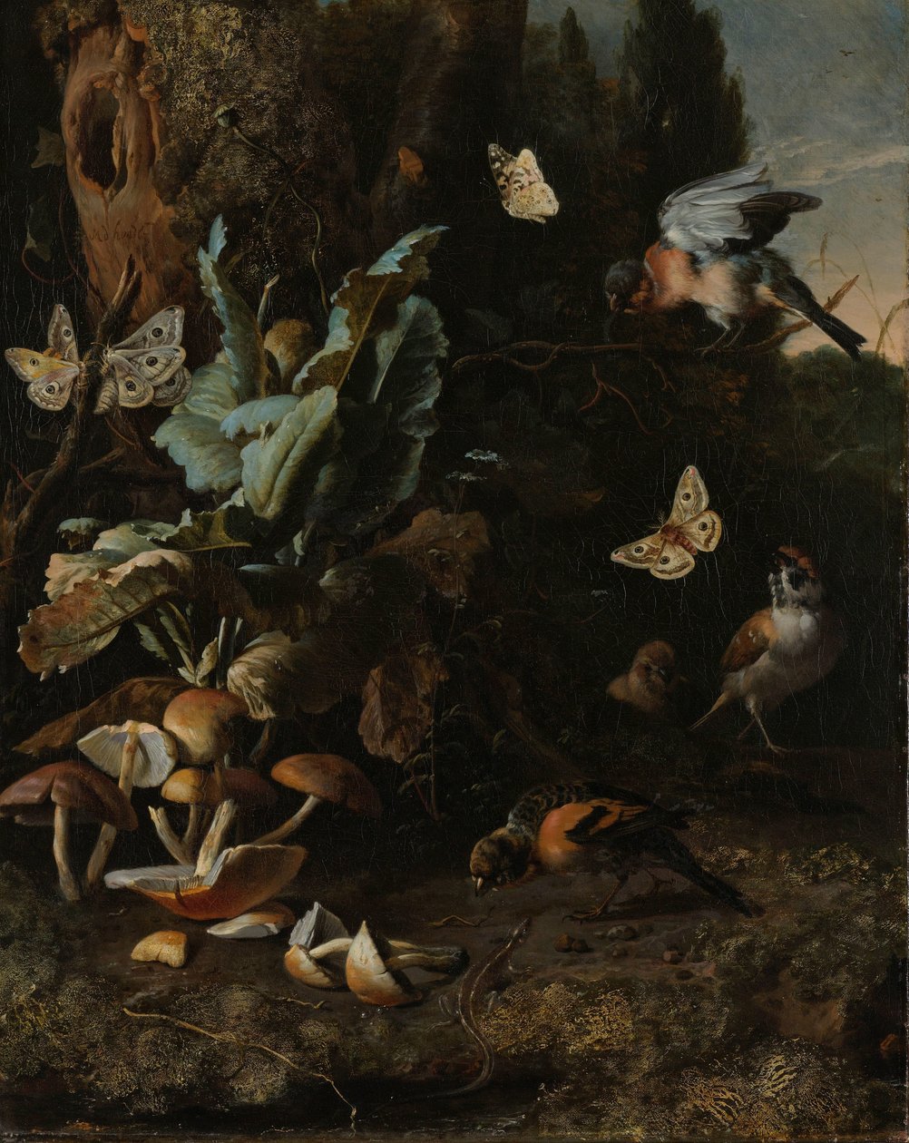 動物と植物 作： Melchiord'Hondecoeter