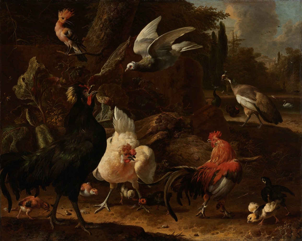 公園の鳥 作： Melchiord'Hondecoeter