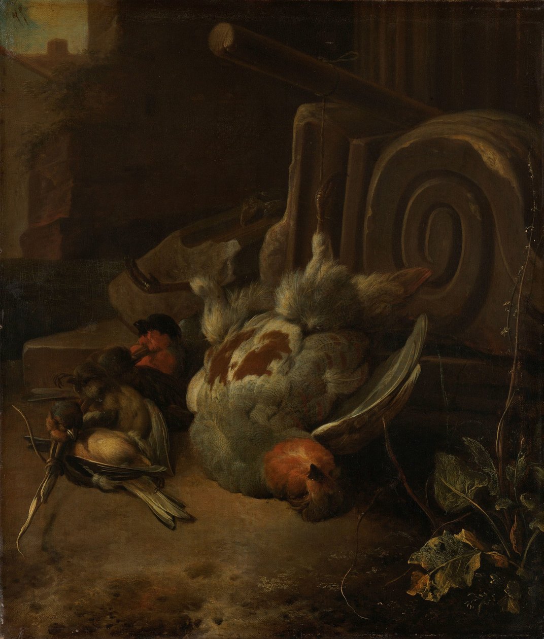 死んだ鳥 作： Melchiord'Hondecoeter