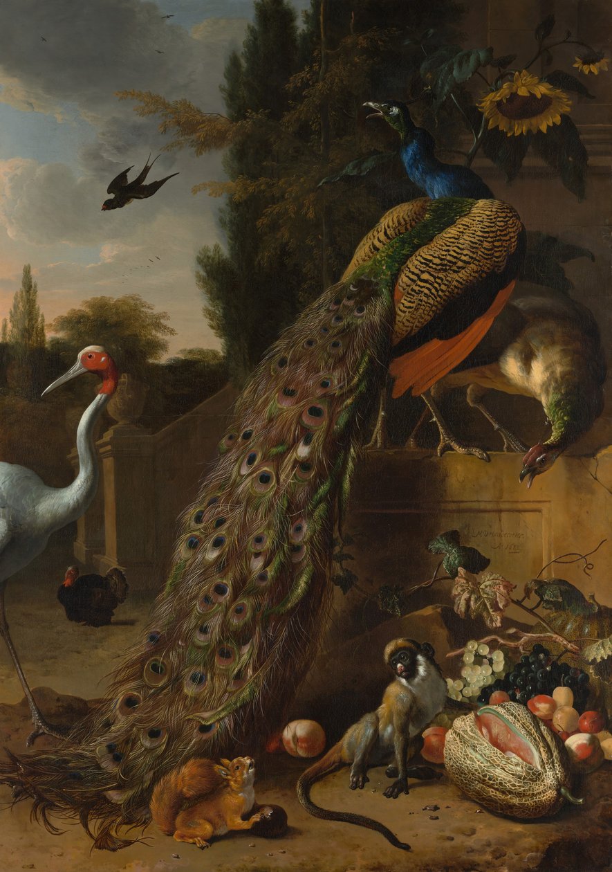 孔雀、1683年。 作： Melchiord'Hondecoeter