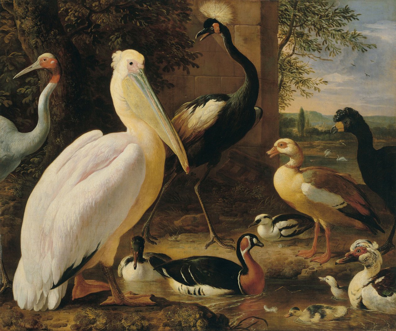 ペリカン、タンチョウヅル、チュウシャクシギ、サルオガモ、川の風景 作： Melchiord'Hondecoeter