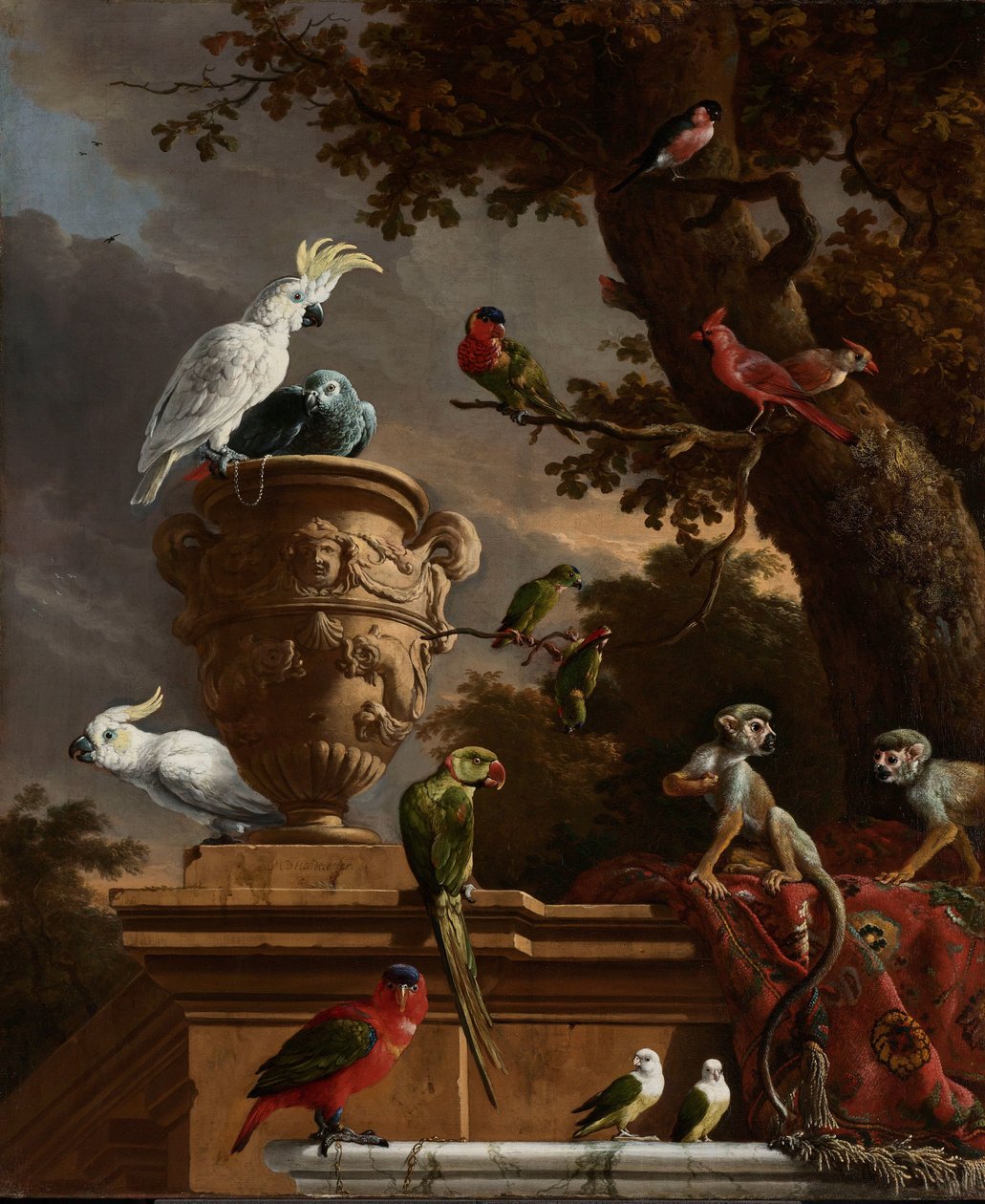 動物園 動物園 作： Melchiord'Hondecoeter