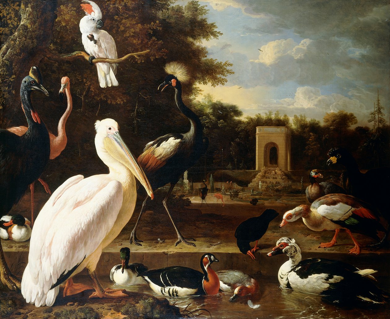 公園内のプールでのさまざまな種類の鳥 作： メルキオール・ド・ホンデコテール