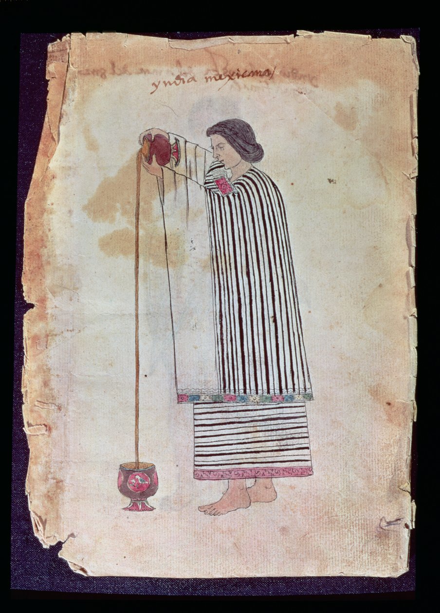 メキシコのインド人、チョコレートを準備中、コーデックストゥレダ、1553年 作： メキシコの学校