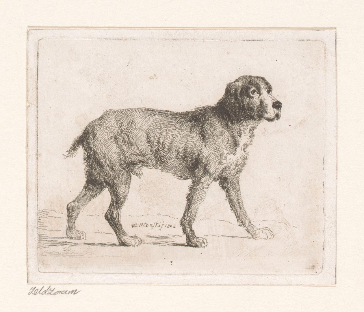 犬 作： MichałPłoński
