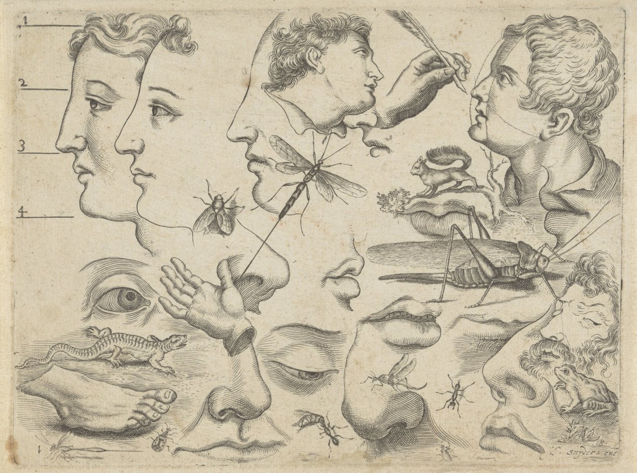 描画例を含む学習シート: 頭、体の部分、動物 作画例（連載タイトル） 作： Michael Snijders