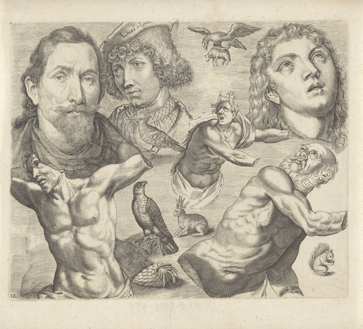 描画例を含む学習シート: 頭、胴体、動物 作画例（連載タイトル） 作： Michael Snijders