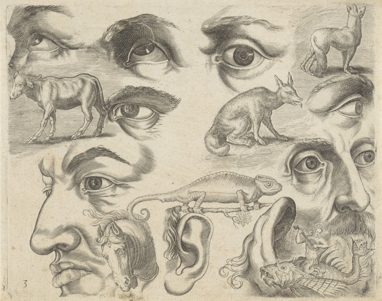 描画例を含む学習シート: 目、頭、動物 作画サンプル（連載タイトル） 作： Michael Snijders