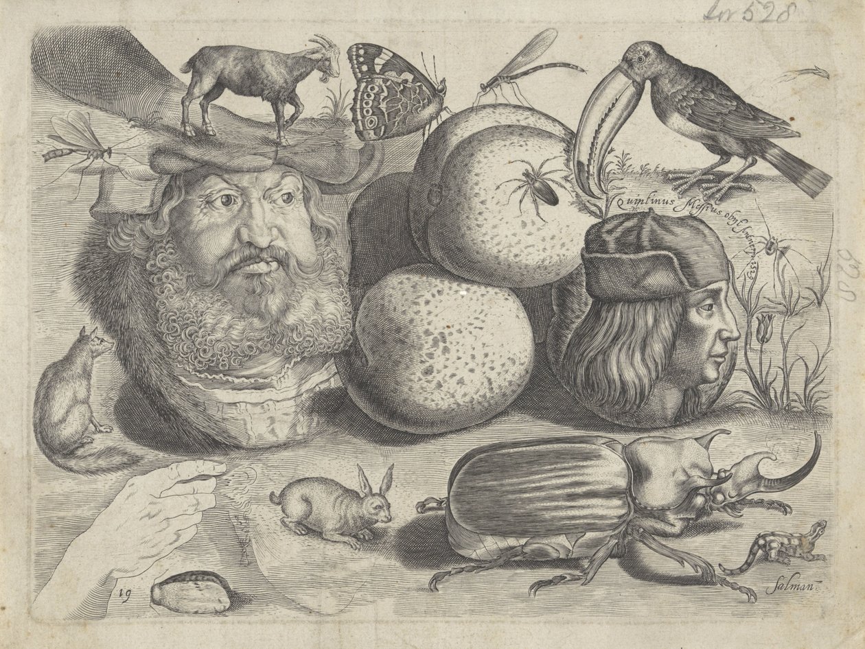 作図例付きの学習シート: 肖像画、動物、昆虫 作画例（連載タイトル） 作： Michael Snijders
