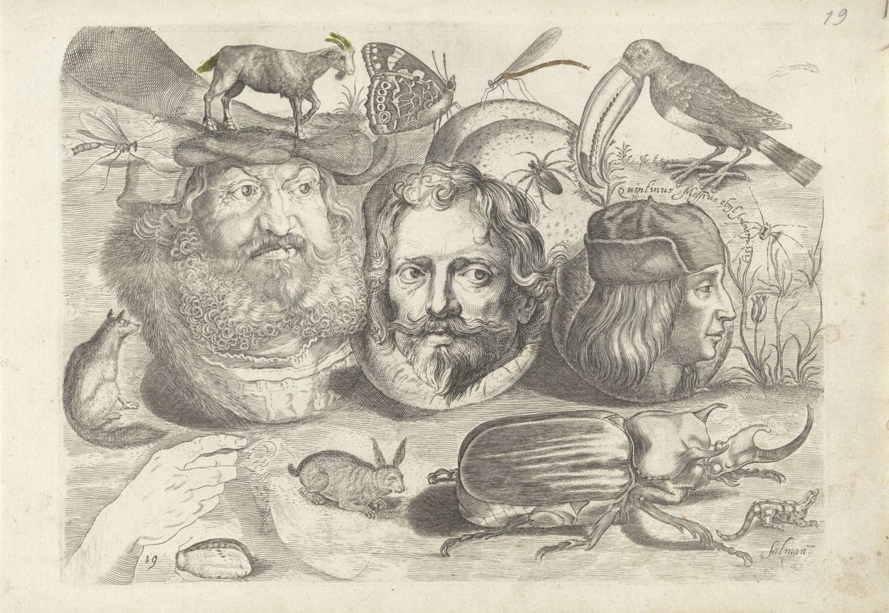 デッサンの見本が掲載された練習用シート：肖像画、動物、昆虫 作： Michael Snijders