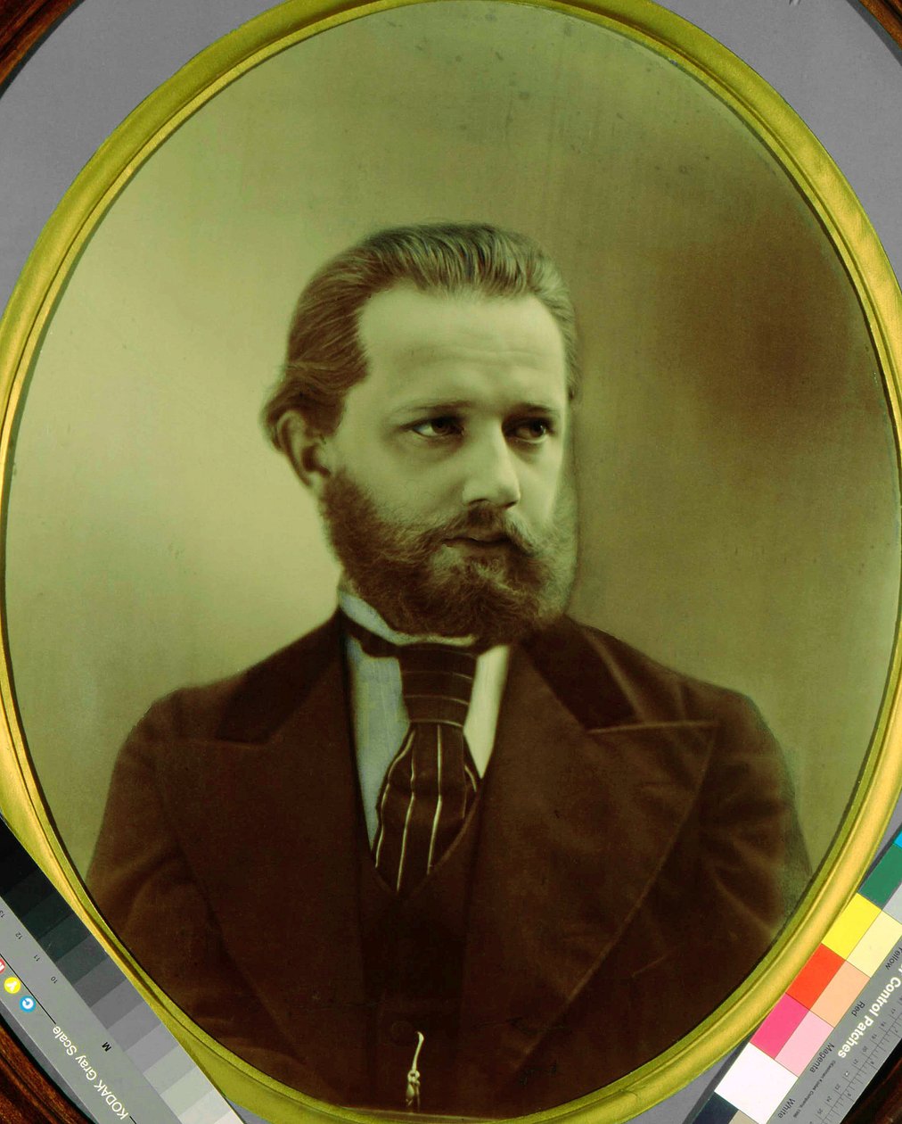作曲家ピョートル・チャイコフスキー (Pyotr Petr Ilitch Tchaikovski) (チャイコフスキー) (1840-1893) の肖像画。 マイケル・ミハイロイヒ・パノフ (1836-1894) によるフォトタイプ。 州 P.I. チャイコフスキー記念博物館、クリン 作： Michail Michailovich Panov