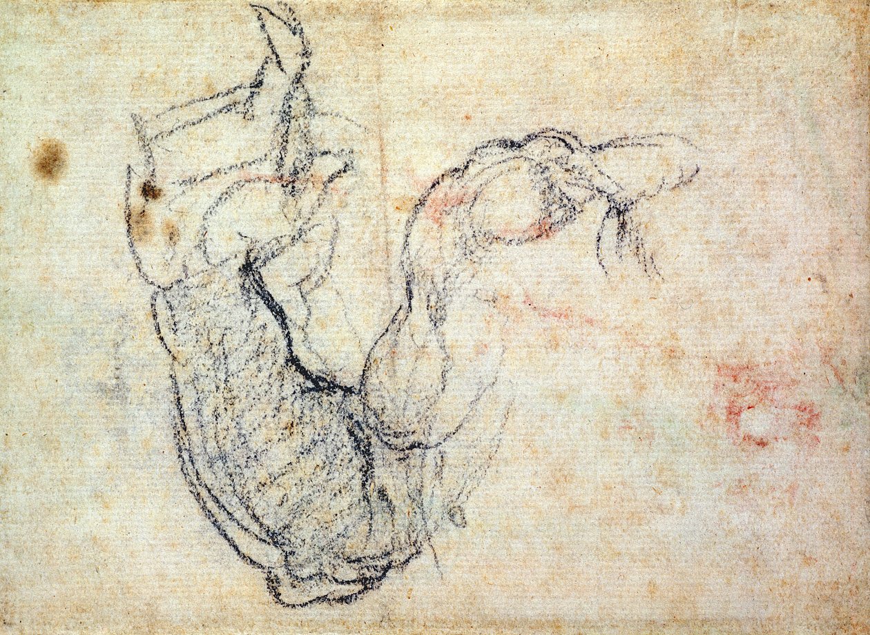 最後の審判におけるキリストの腕のための準備研究、1535-41（紙に黒いチョーク）（直腸） 作： ミケランジェロ・ブオナローティ