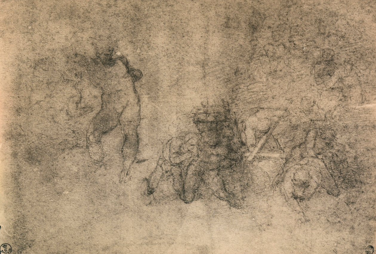 男性のヌード、ミケランジェロのさまざまな研究。内閣描画と版画、ウフィツィ美術館、フィレンツェ 作： ミケランジェロ・ブオナローティ