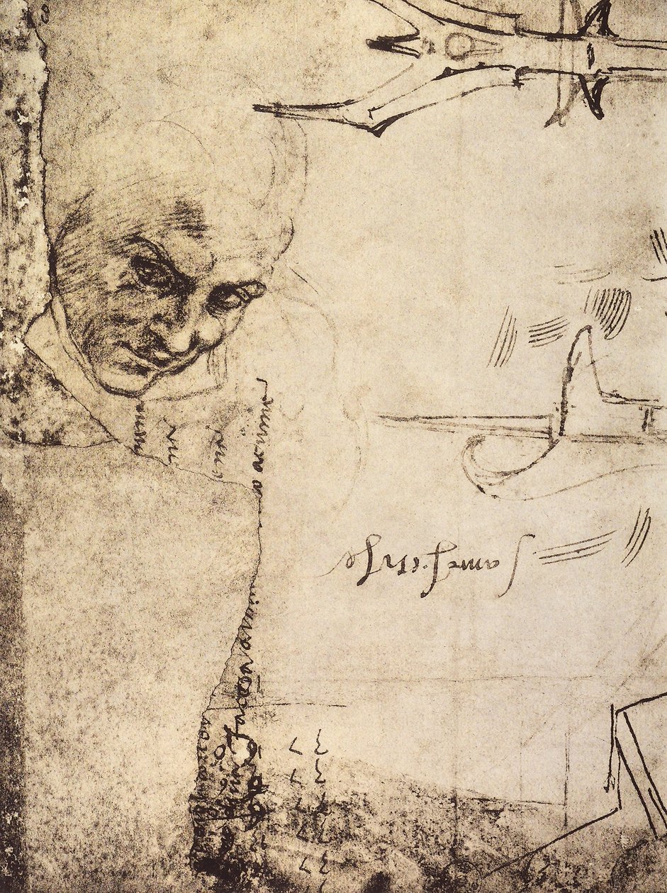 顔、ミケランジェロのドローイング、ドローイングアンドプリントの