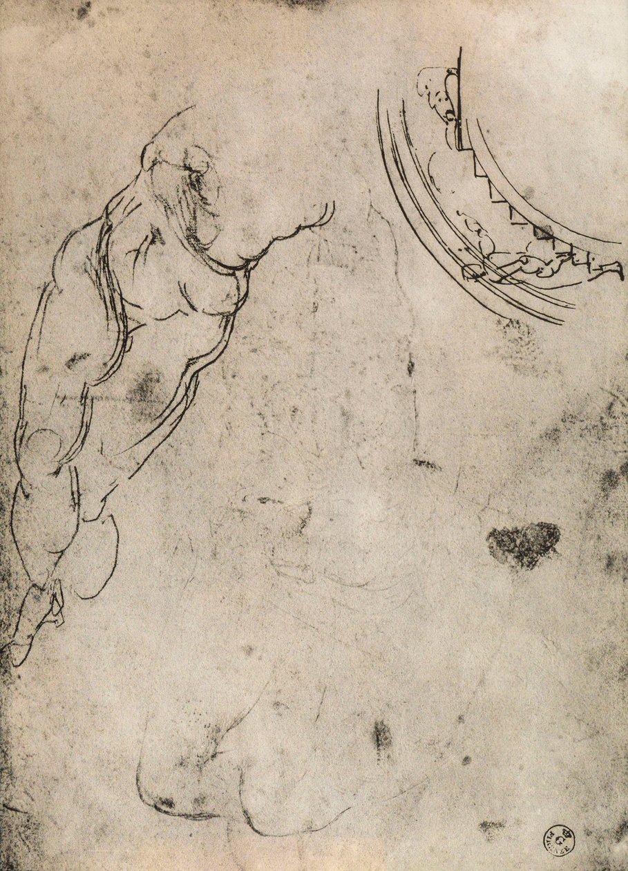 男性の足、ミケランジェロによる研究。内閣描画と版画、ウフィツィ美術館、フィレンツェ 作： ミケランジェロ・ブオナローティ