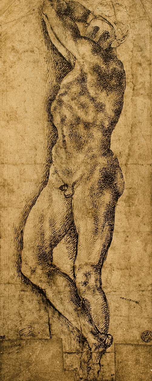 男性のヌード;ミケランジェロの絵。ルーブル美術館、パリ 作： ミケランジェロ・ブオナローティ