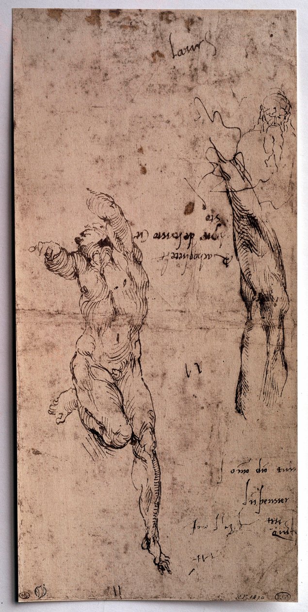裸の男、腕の習作 ミケランジェロ・ブオナローティ（Michelangelo Buonarroti dit Michelangelo）によるドローイング（Michelangelo or Michel Ange 作： ミケランジェロ・ブオナローティ