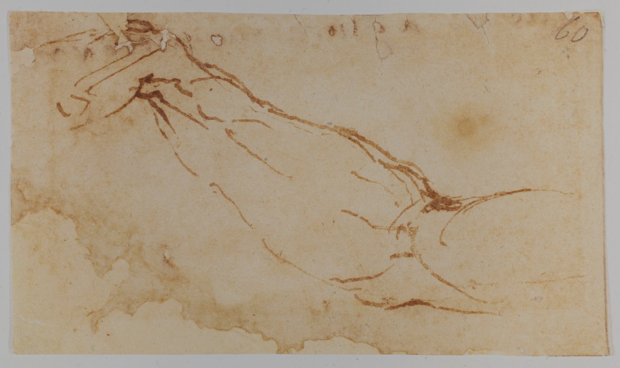 レダ」の右腕のスケッチ、1528-1530年（デッサン） 作： ミケランジェロ・ブオナローティ