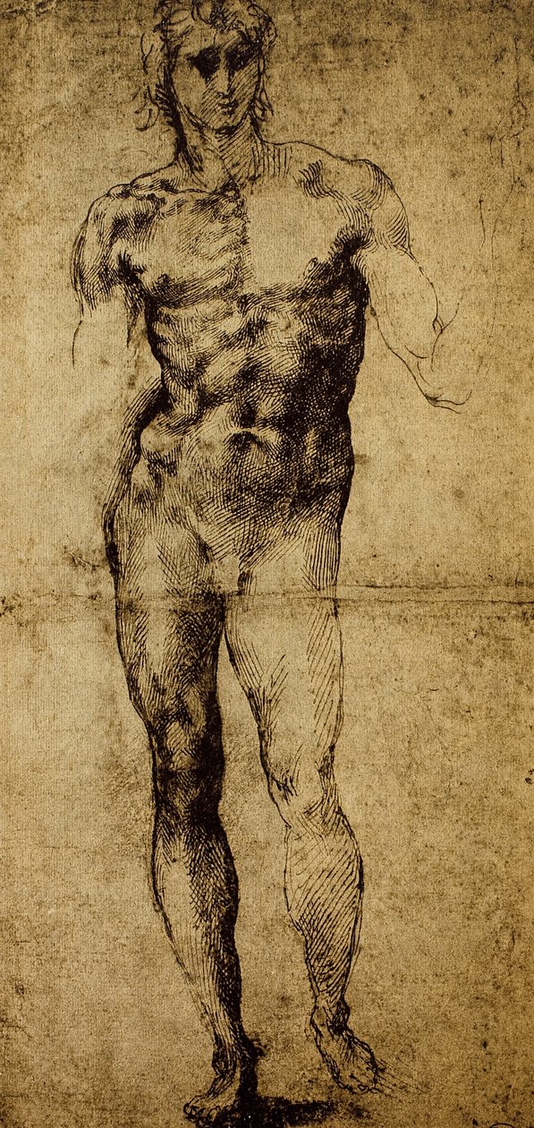 男性のヌード、ミケランジェロブオナローティ（1475〜1564）、絵、パリ、ルーヴル美術館の研究 作： ミケランジェロ・ブオナローティ