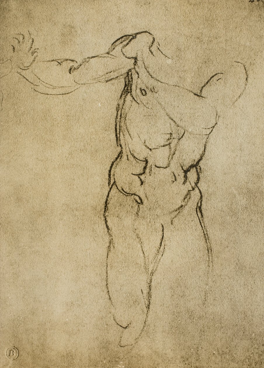 ミケランジェロが描いた男性的なバストの研究。カーサブオナローティ（フィレンツェ） 作： ミケランジェロ・ブオナローティ