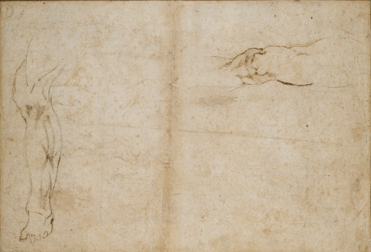 Verso: 男性の足の研究、c1490-1560 作： ミケランジェロ・ブオナローティ