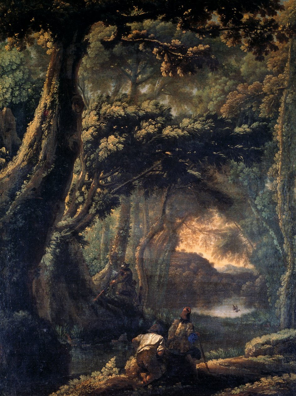 Coot hunting, Michelangelo Cerquozzi (Michelangelo delle Battaglie, 1602-1660)作, 油彩・キャンバス, 67x51 cm. 作： ミケランジェロ・セルコッツィ