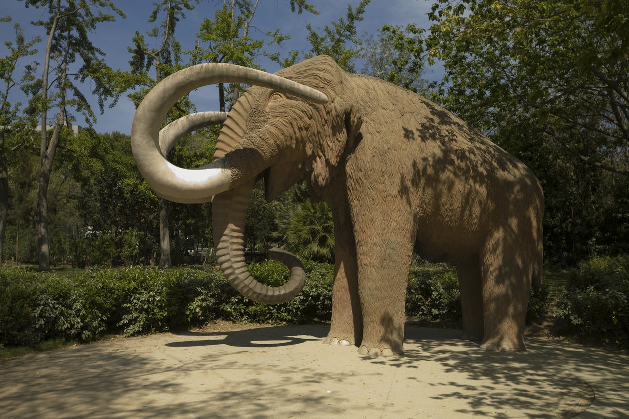 マンモス、1907 作： ミゲル・ダルマウ