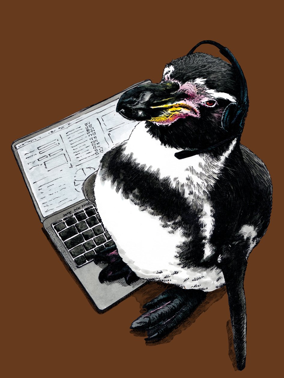 2020年バーントオレンジの新しい仕事ペンギン 作： マイク・デイビス