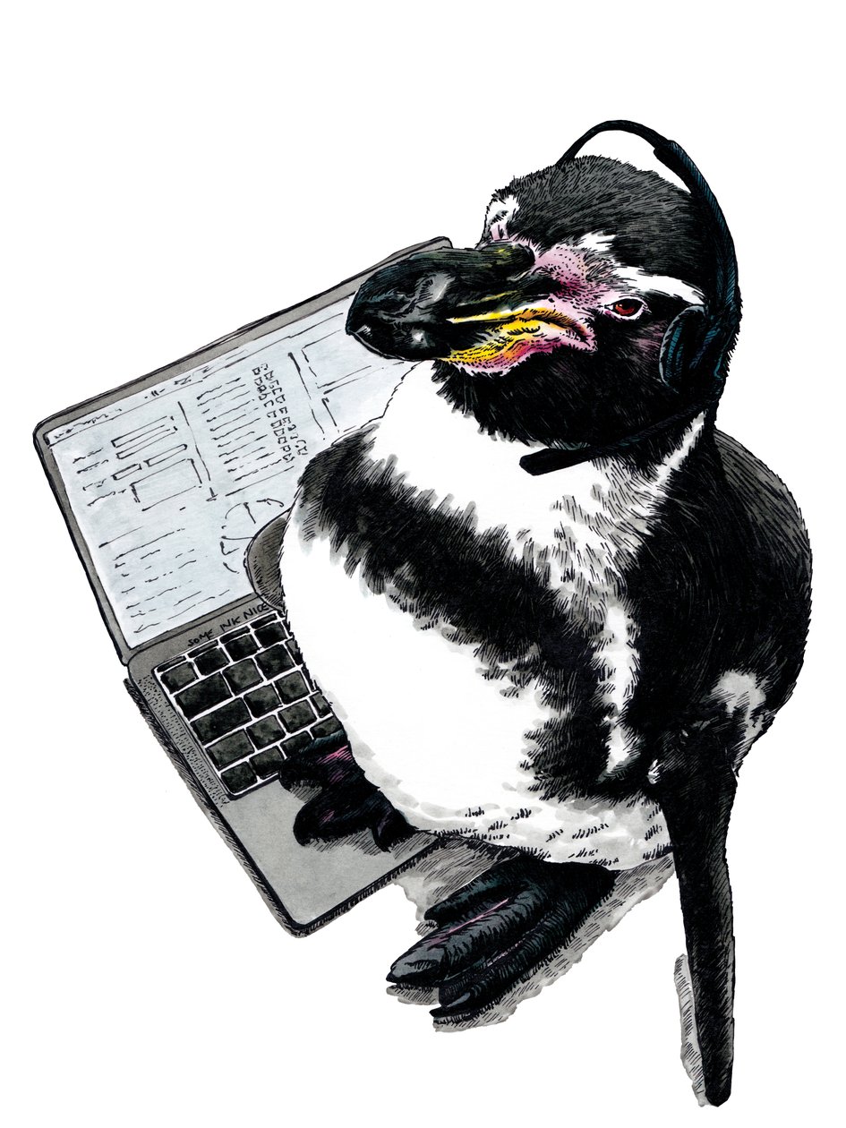 2020年白地に新しい仕事ペンギン 作： マイク・デイビス