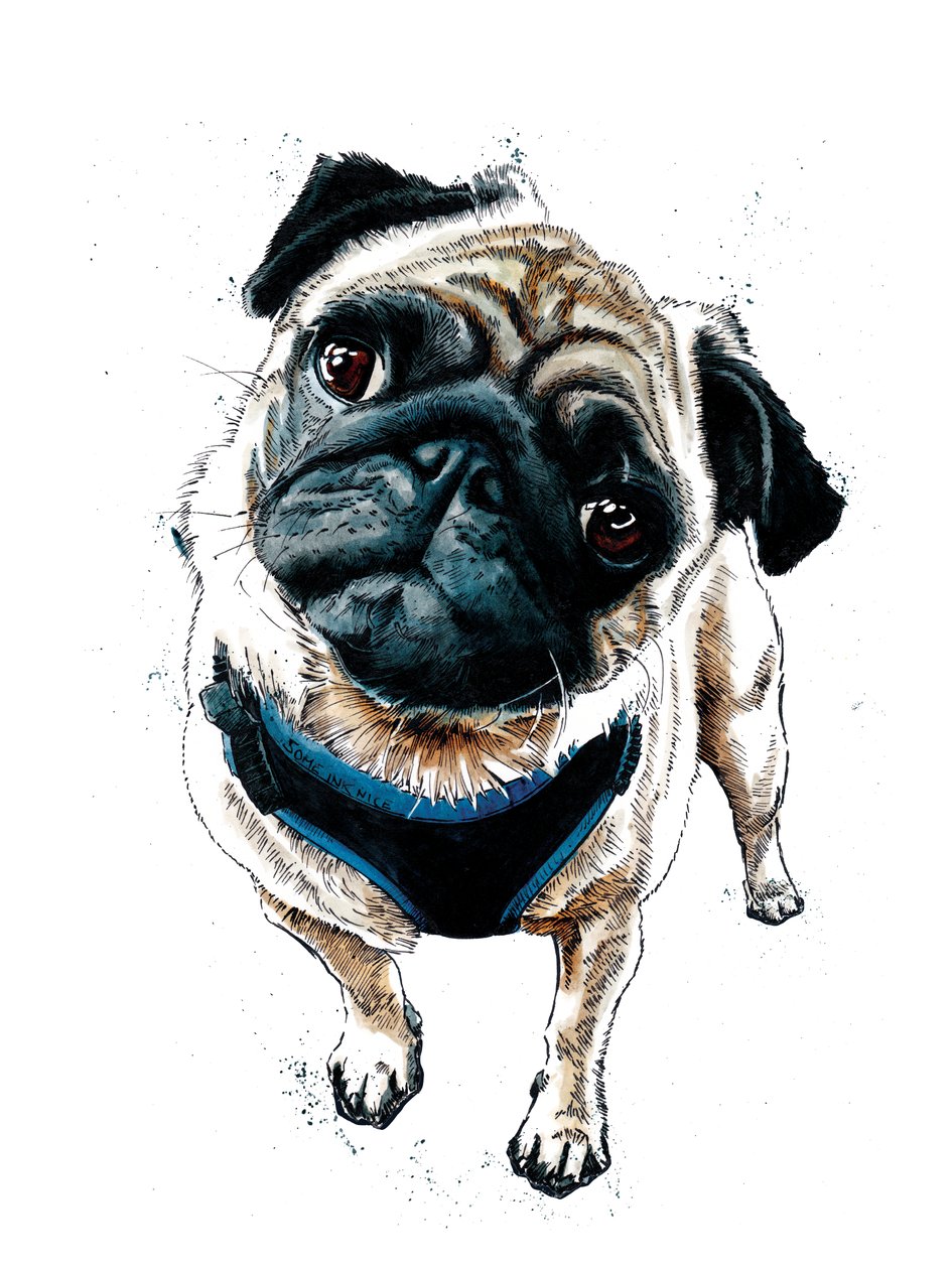 Teddy The Pug on White, 2019   1421528   ja       japanese Successfully Translated  Original: Intemperance Translat: Intemperance 1272506 ja japanese Successfully Translated Original: The French attempt to recapture Calais from England, 1350, ca 1470-1475. 作： マイク・デイビス