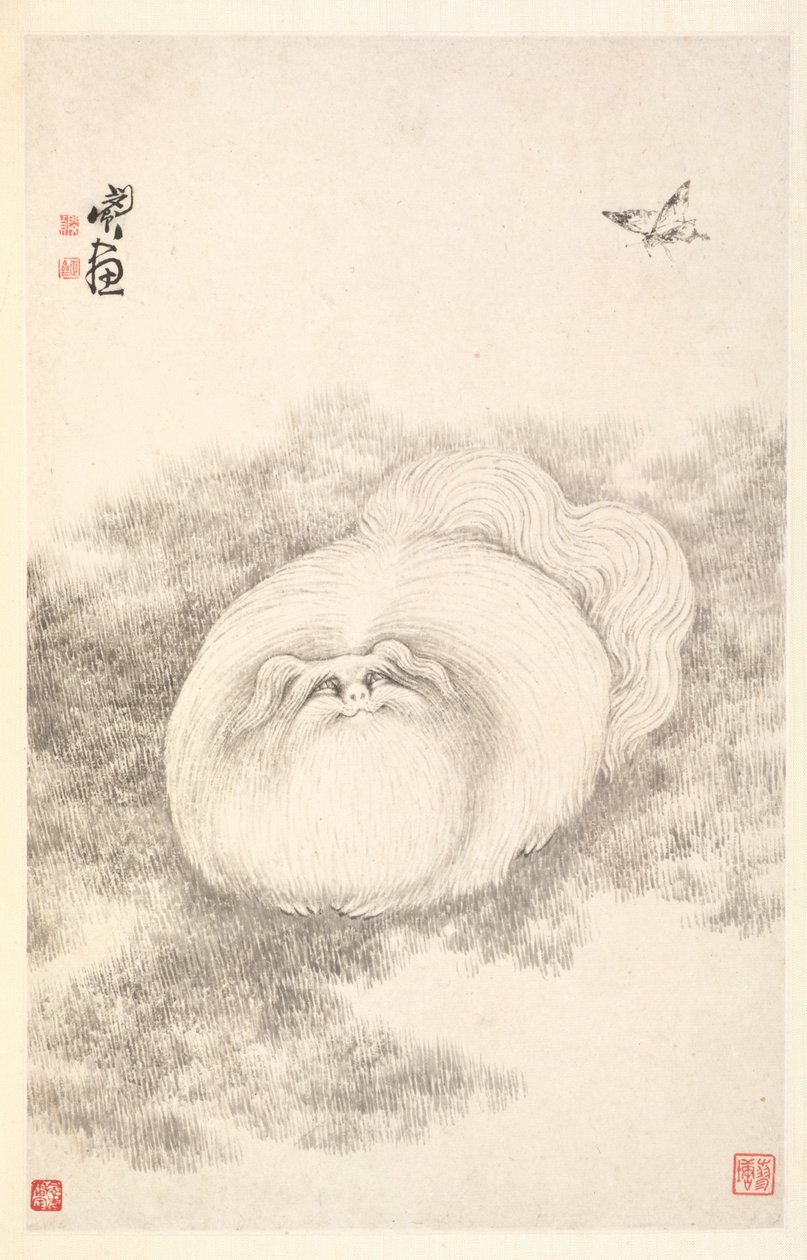 猫と蝶、1788。 作： ミンジェン