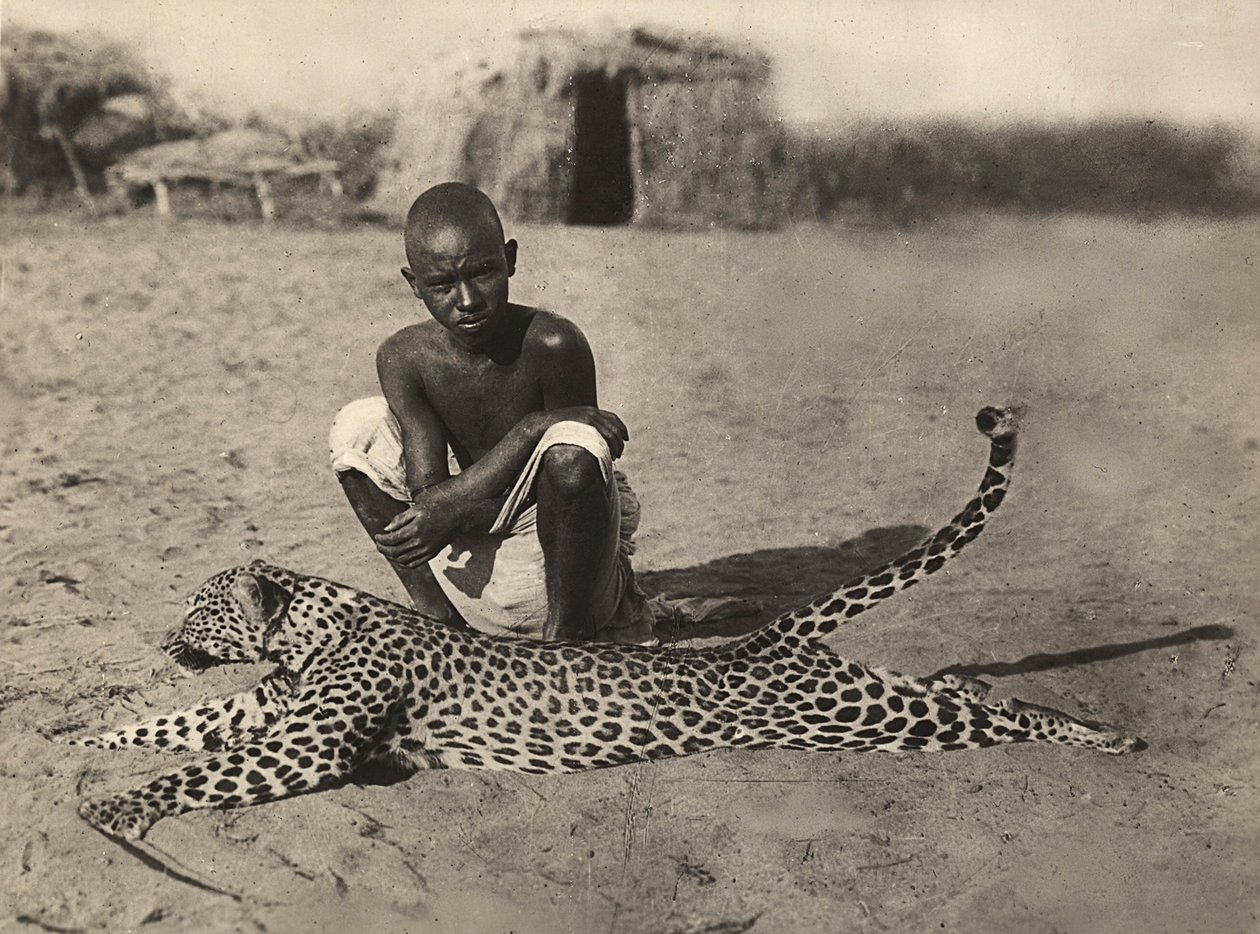 ファシズムの時代に帝国を築く：ヒョウを展示するインド人、1936年09月05日（モノクロ写真 作： モデスティノ・バルディネッティ