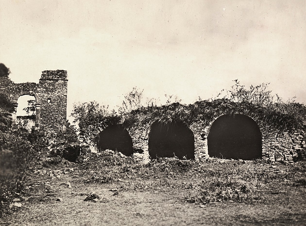 ファシスト時代の帝国建設：エチオピア・ゴンダールのファシラダス王の城にあるライオンの溝、1936年9月5日（モノクロ写真 作： モデスティノ・バルディネッティ
