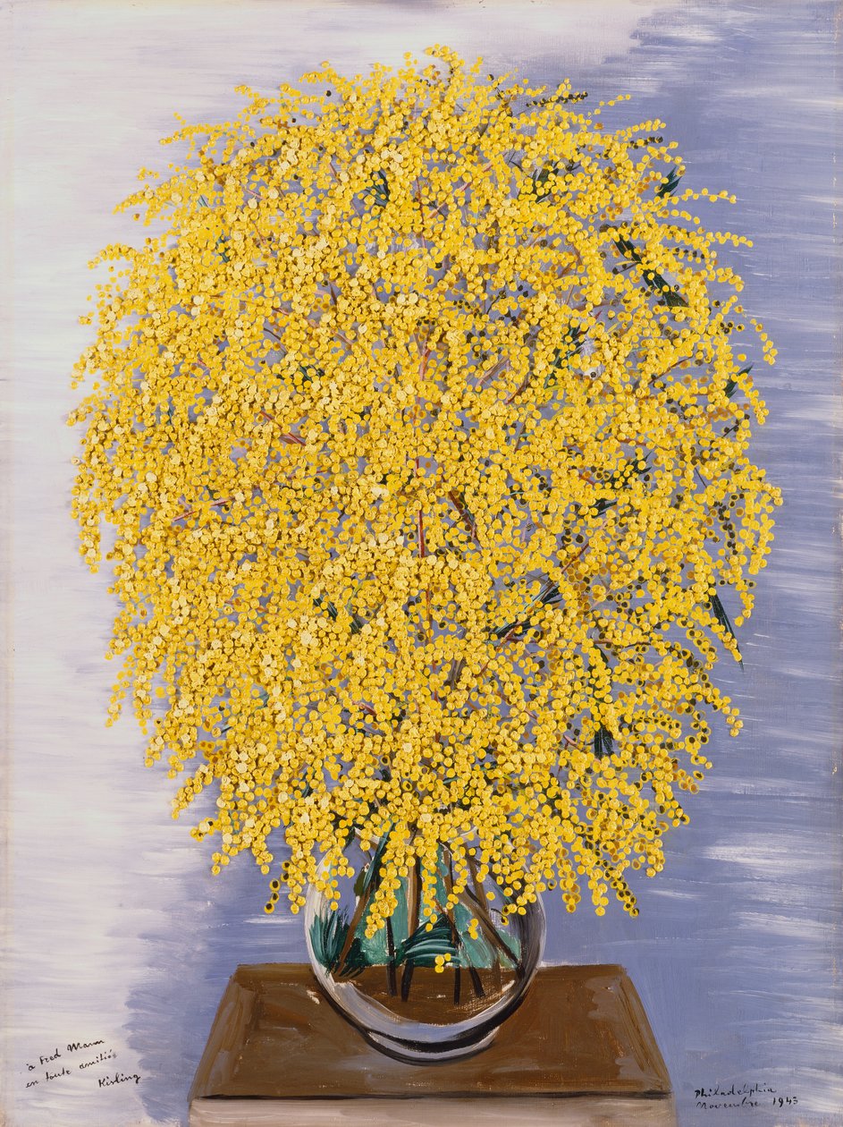 ミモザ | モイズ・キスリング