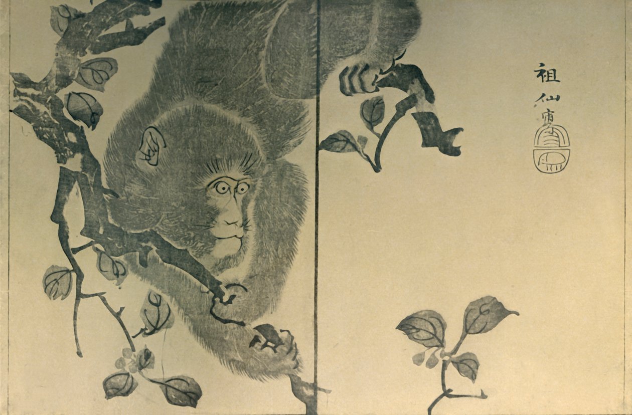 サル、1815年、1924年。 作： 森宗仙