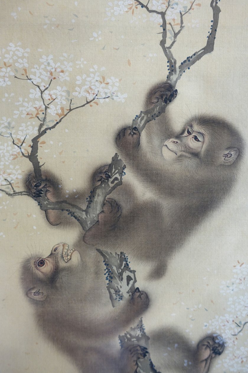 絹本・墨画・彩色 「花咲く桜の中の猿」森宗全 日本・江戸時代 1800年代前半 DSC01127 作： 森宗仙