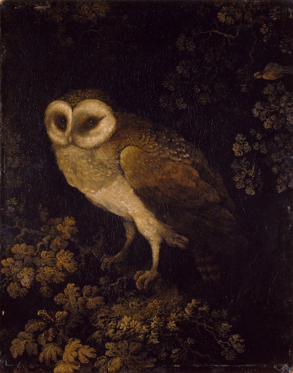 フクロウ、1780-90 作： モーゼス・ホートン