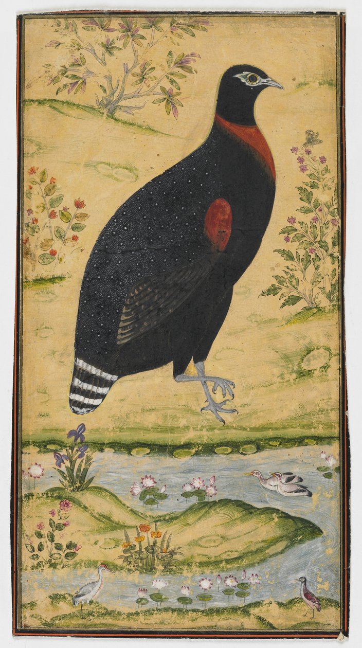 風景の中の鳥、絵画、17世紀後半 作： ムガル学校