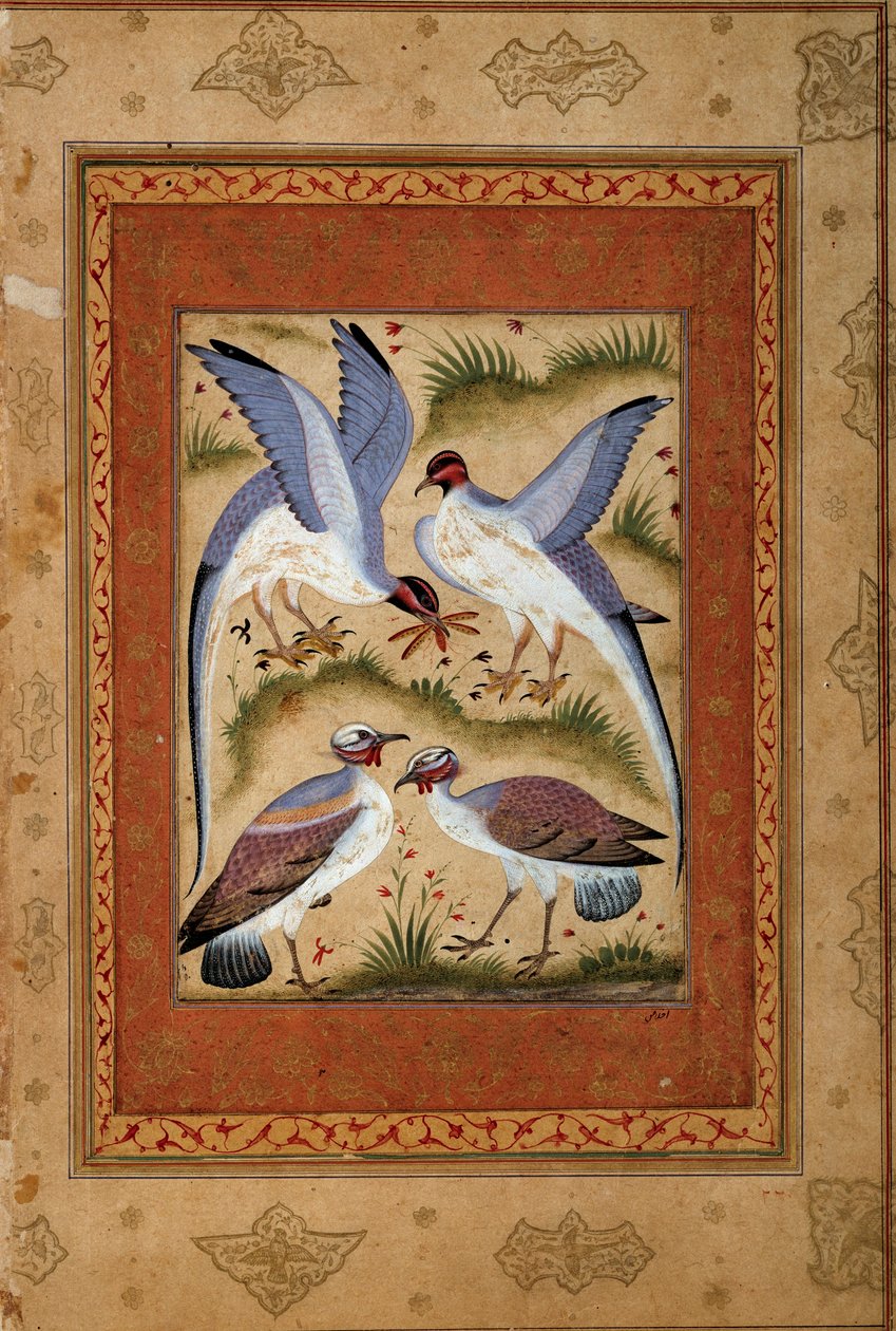 鳥。モゴール派のミニチュア・ガッシュ。1590-1600.パリ、ギメ美術館、国立アジア美術館 作： ムガル学校