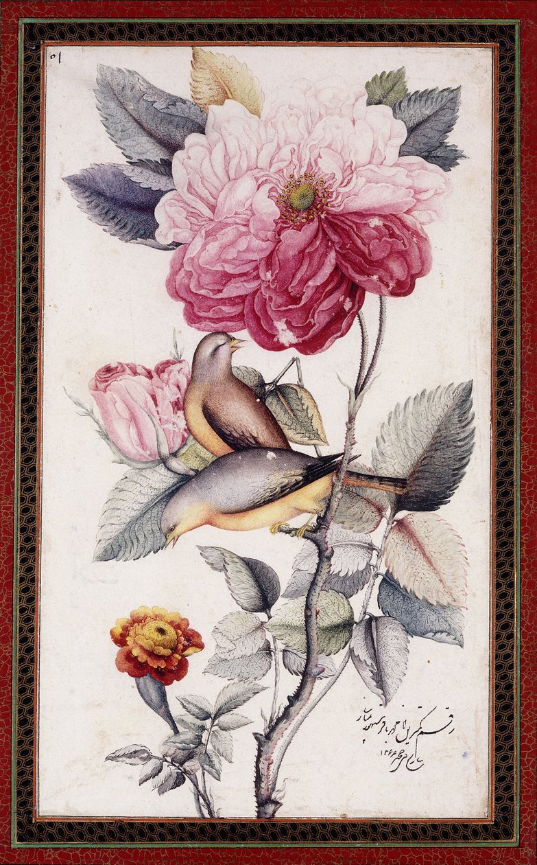 Gul-o Bulbul、c。 1849-50（紙に水彩） 作： ムハンマド・バキル