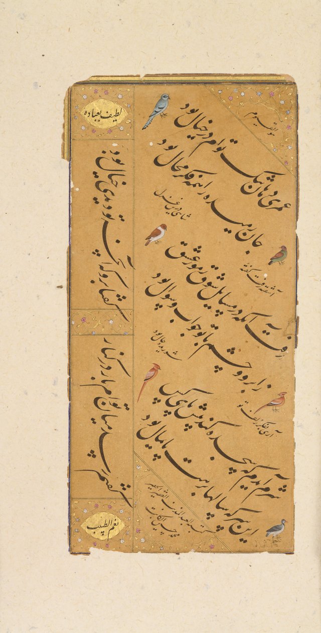 書道のページ、16世紀後半。 作： Muhammad Husayn al Katib