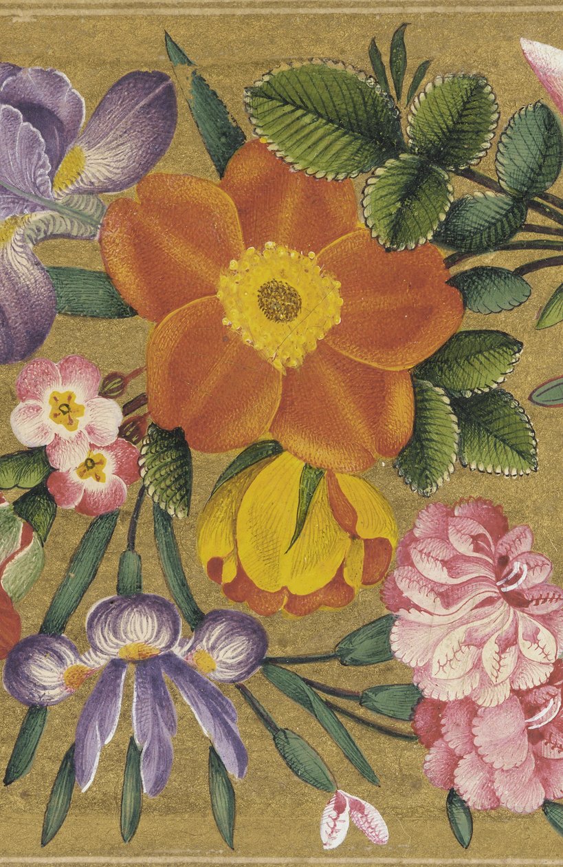 インド、サンクトペテルブルグアルバムのページ、1727年（金地色） 作： ムハンマド・サディク