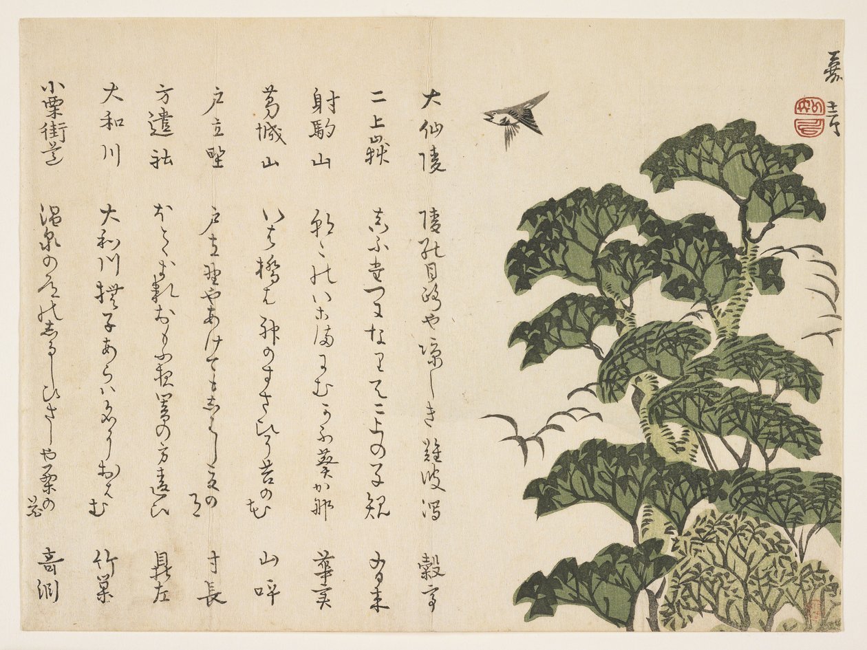 大きな木と鳥、c.1830-44（色木版画） 作： 村田花源