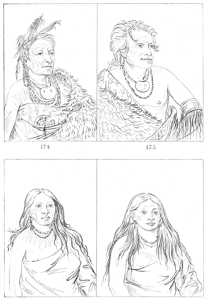 ポーニー、1841年。 作： マイヤーズアンドCo