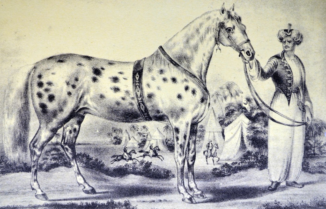 Currier＆Ivesイラスト19世紀。 H氏の正しい肖像画ロックウェルズホースアレクサンダー、バワリーアンフィシアター、ニューヨーク1840年3月17日 作： N. and Ives、JM Currier