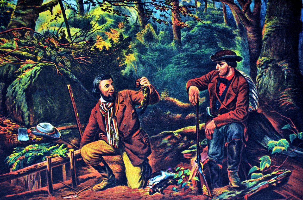 Currier＆Ivesイラスト19世紀。ミンクトラッピングプライム 作： N. and Ives、JM Currier