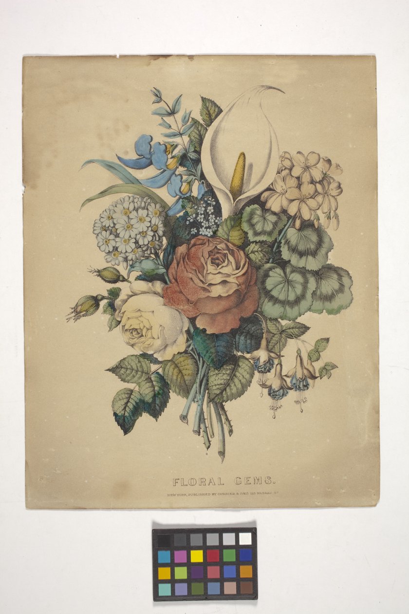 Gemas florais (litografia colorida à mão) 作： N. and Ives JM (1824 95) Currier