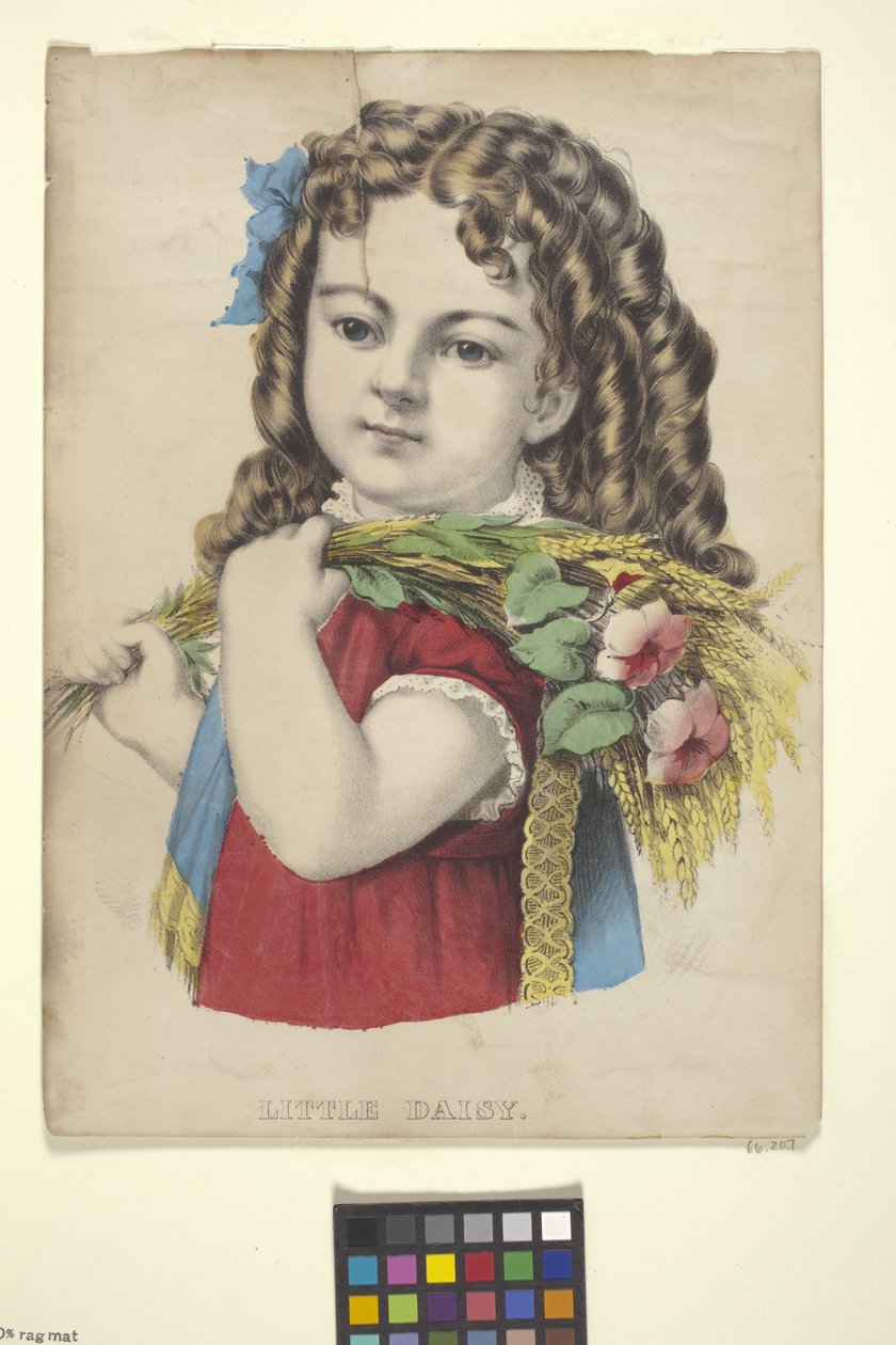 Little Daisy (käsinvärinen litografia) 作： N. and Ives JM (1824 95) Currier