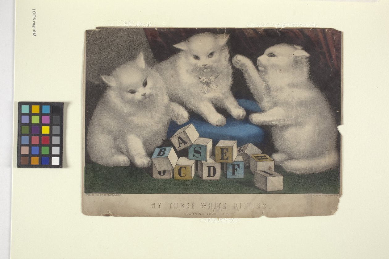 Meus três gatinhos brancos (litografia colorida à mão) 作： N. と Ives JM (1824 95) Currier
